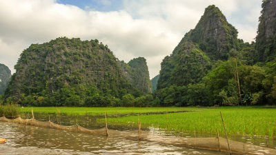 Boating on Ngo Dong River