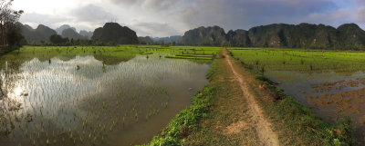 Biking in the Ninh Binh Countryside