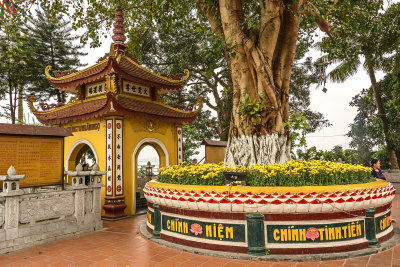 Tran Quoc Pagoda