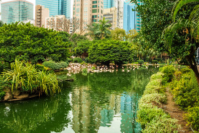 Bird Lake
