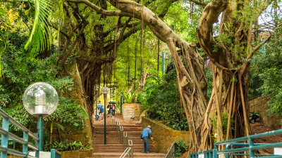 Kowloon Park