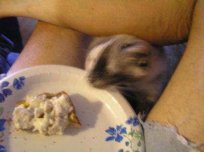 ChixSalad copy.jpg