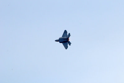 F-22 Raptor