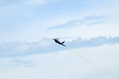F-22 Raptor