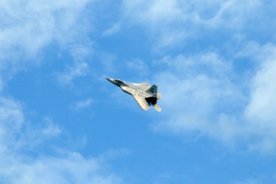 F-22 Raptor
