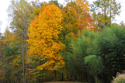 Fall in Southern Maryland