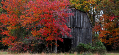 Fall in Southern Maryland