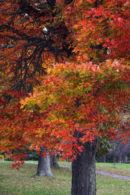 Fall in Southern Maryland