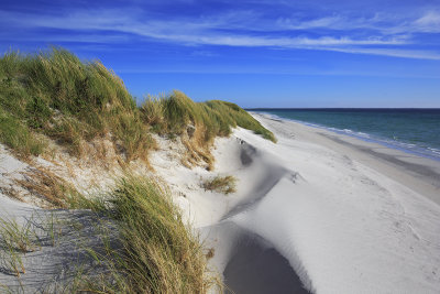 Cata Sands - Sanday