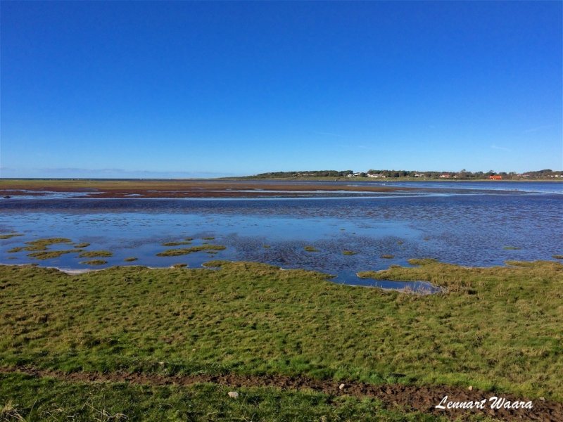 HALLAND