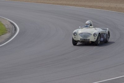 Austin Healey 100 M 1955.jpg