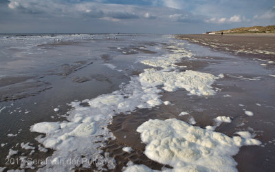 Strand; Beach; Burgh-Haamstede
