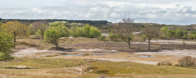 Zeepeduinen; Panrama