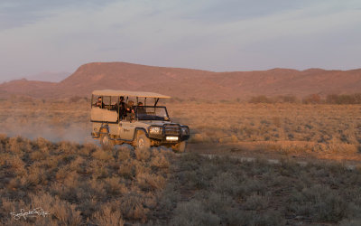 Sanbona Willife Reserve