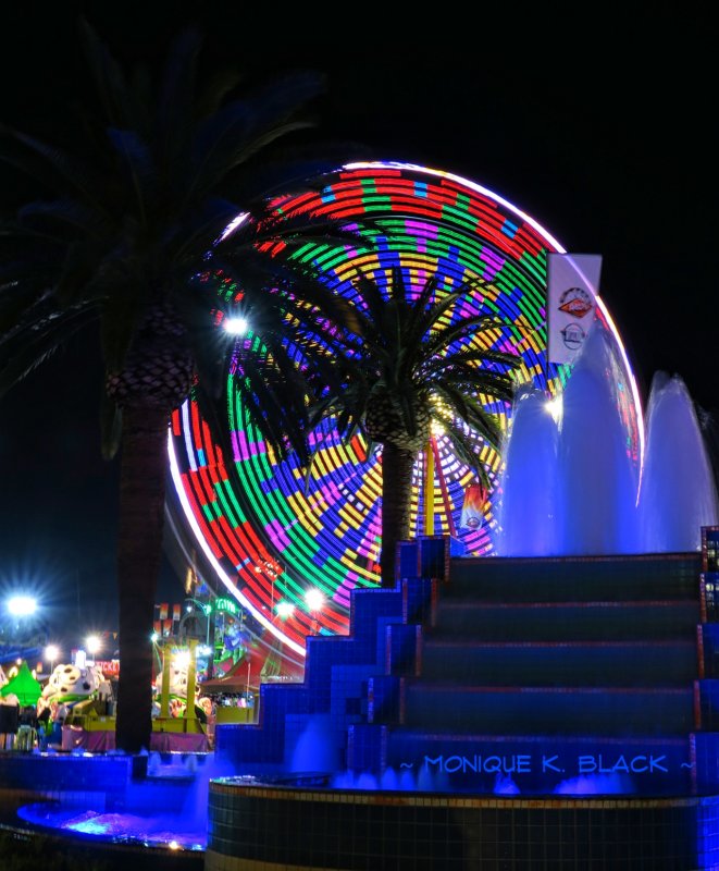 FERRIS WHEEL PALM 