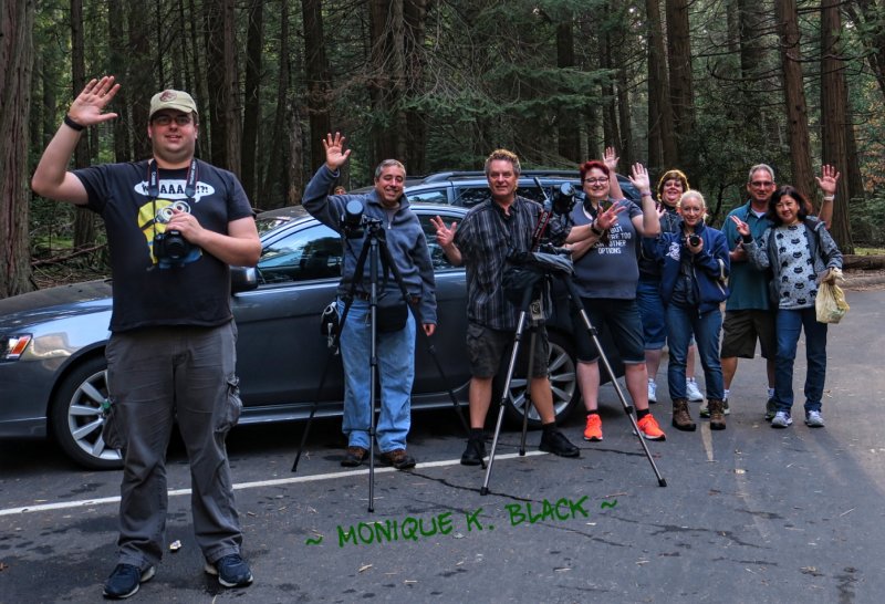 YOSEMITE PHOTOGRAPHIC ADVENTURERS