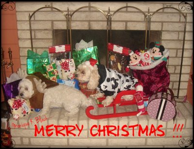 MERRY CHRISTMAS!!!