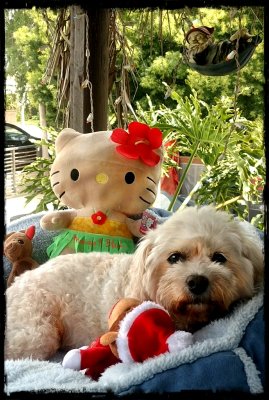ZOEY IN HER TIKI HUT