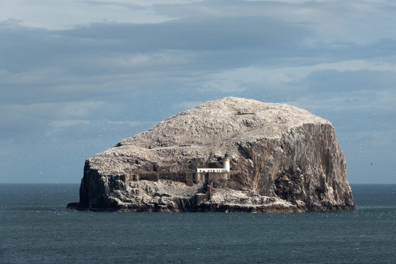 Bass Rock