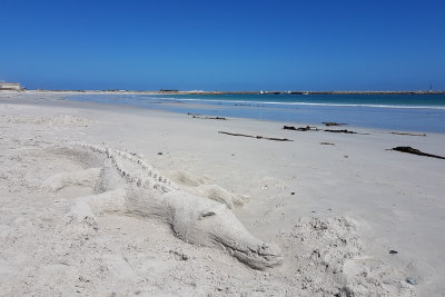 Crocodile de sable