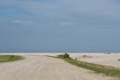 _D851264.jpg