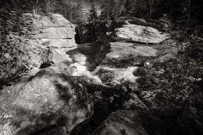 Maine creek.jpg