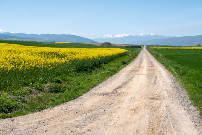 Looking south towards los Picos de Urbion (4/18/2018)