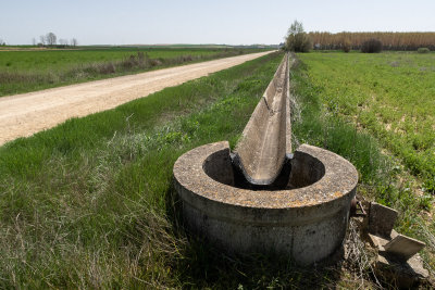 Irrigation, outside Boadilla del Camino (4/25/2018)