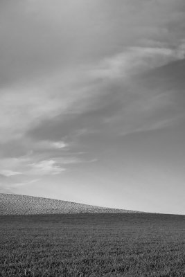 Fields near Ledigos (4/27/2018)