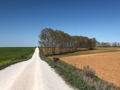 Approaching Calzadilla de la Cueza (4/26/2018)