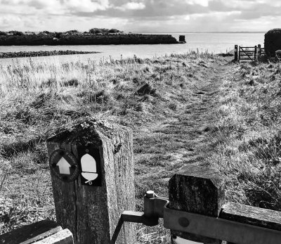 Gate near Port Carlisle (9/21/2018)