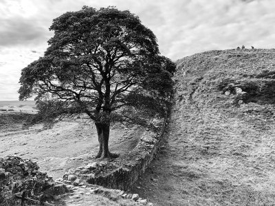 Looking south-west from above Sycamore Gap (9/25/2018)