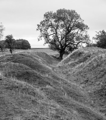 Ditch near St. Oswald (9/26/2018)