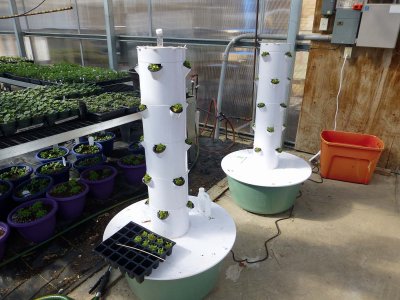 FAA Green house tower garden