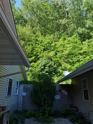 31 May Patio