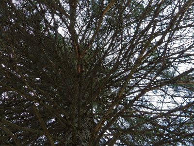 g10/25/38025/3/166035095.CMn9SjqI.jpg