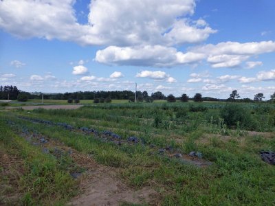 23 Aug Honey Hill Organic Farm