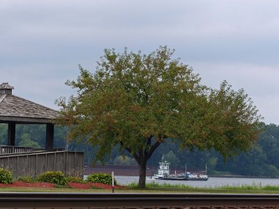 27 Aug Cassville Car Ferry
