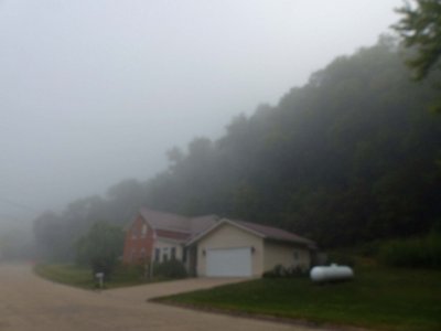 30 Aug Foggy focus