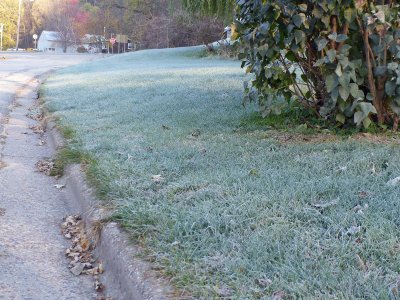 8 Nov First Frost
