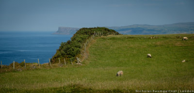 DSCF2055-1.jpg