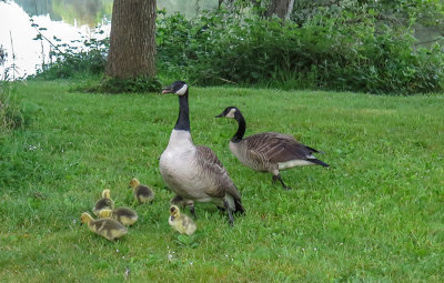 Spring Family Outing 