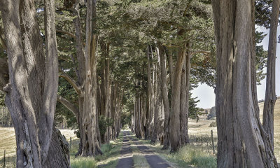 Ranch Driveway 