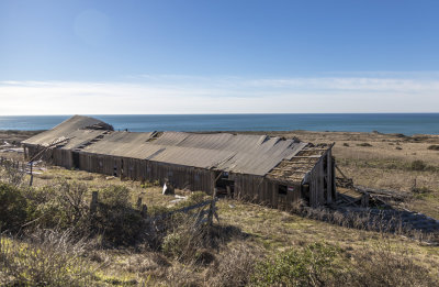 Near Bodega Bay, CA 