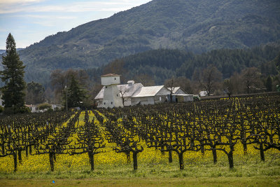 Napa Valley