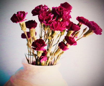 Pot of Pink