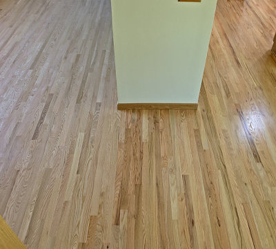 Floor1.jpg