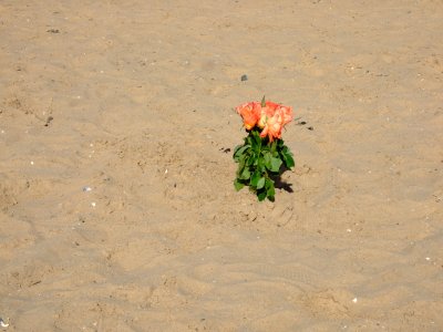 On St.Annes beach