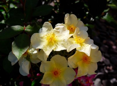 2017-06-19 09:33