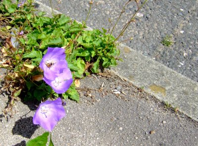 2017-07-12 11:56